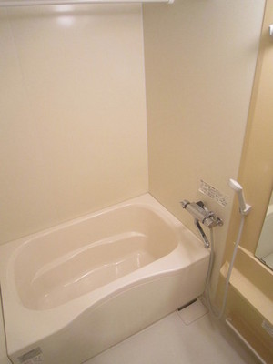 Bath. Mirror is large