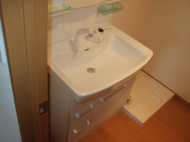 Washroom. Shampoo dresser