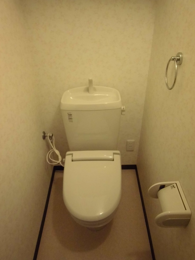 Toilet