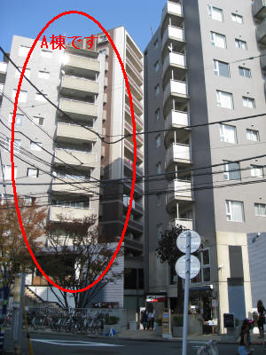 Building appearance. Designer's Twin Towers