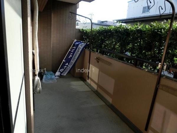 Balcony. We maintain privacy in the green of planting!