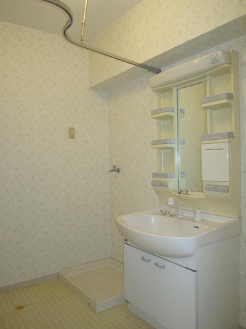 Washroom. Bathroom vanity