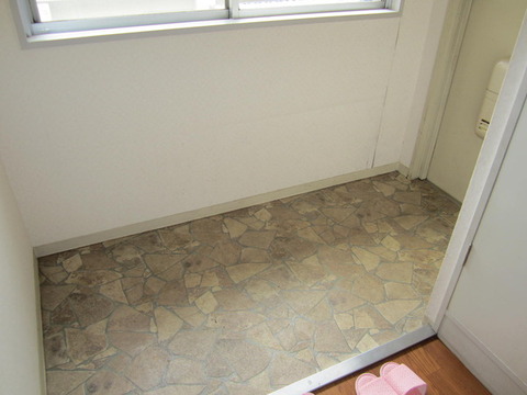 Entrance. Shoe shelf
