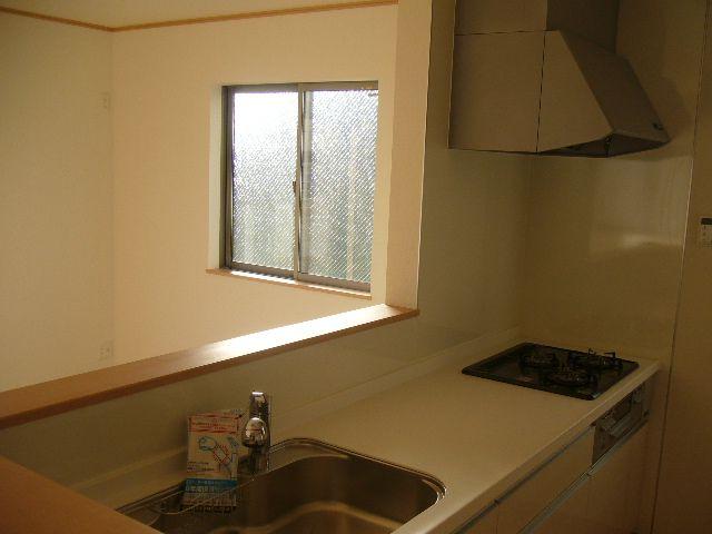 Kitchen. Popular face-to-face kitchen