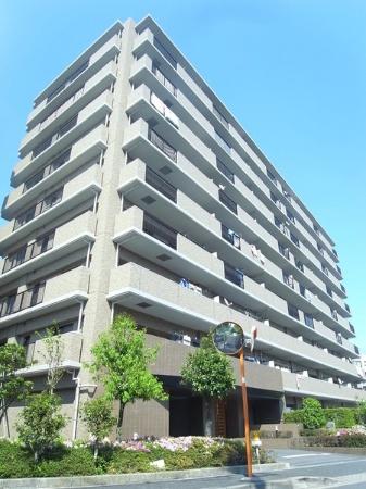 Local appearance photo. (September 2013) Shooting