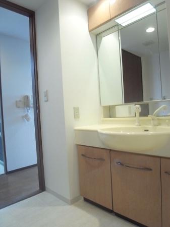 Wash basin, toilet. Indoor (September 2013) Shooting