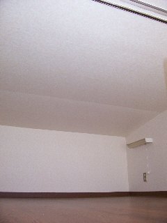 Living and room. room