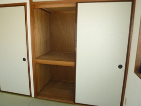 Other. Closet is excellent storage capacity