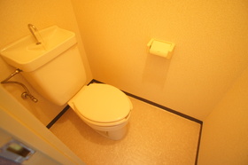 Toilet. Toilet with cleanliness