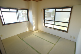 Living and room. Two-sided lighting bright Japanese-style