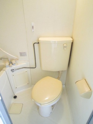 Toilet. Western-style toilet