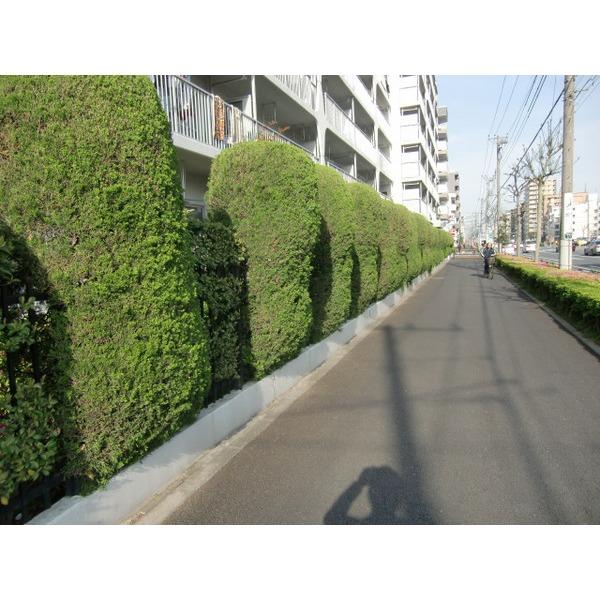 Other local. Frontal road