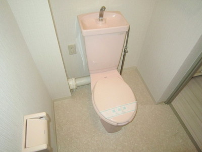 Toilet. Toilet