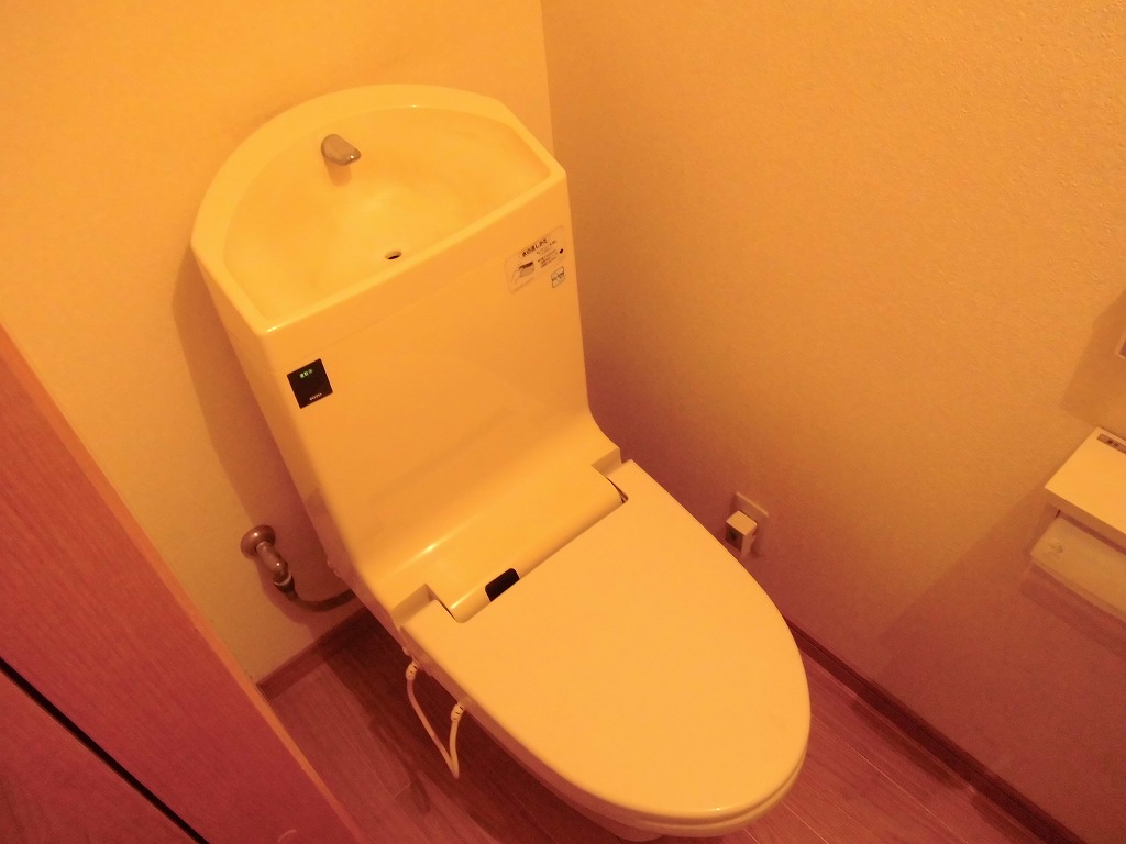 Toilet