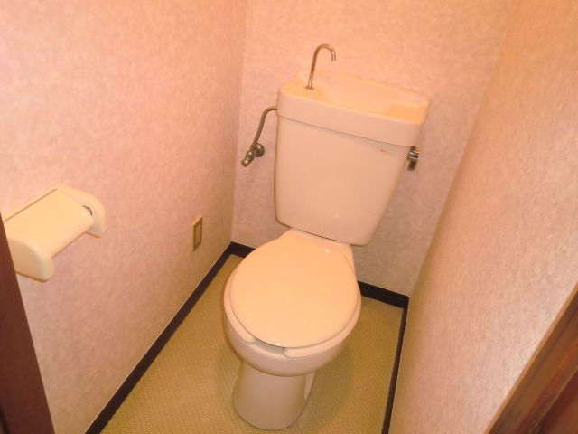 Toilet. Toilet