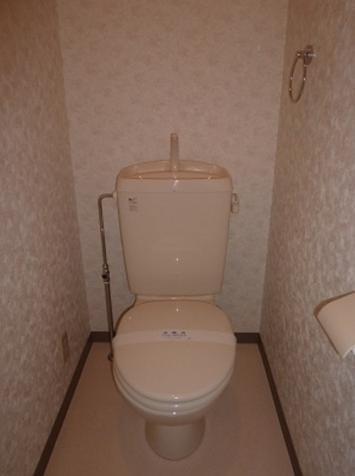 Other Equipment. Toilet