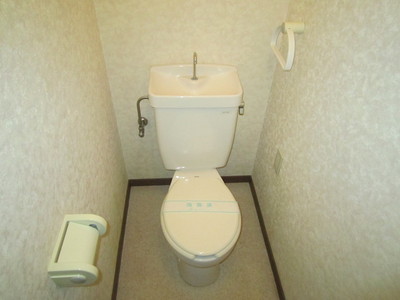 Toilet. Toilet