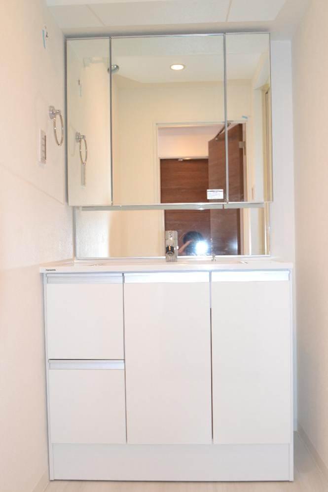 Wash basin, toilet. Bathroom vanity