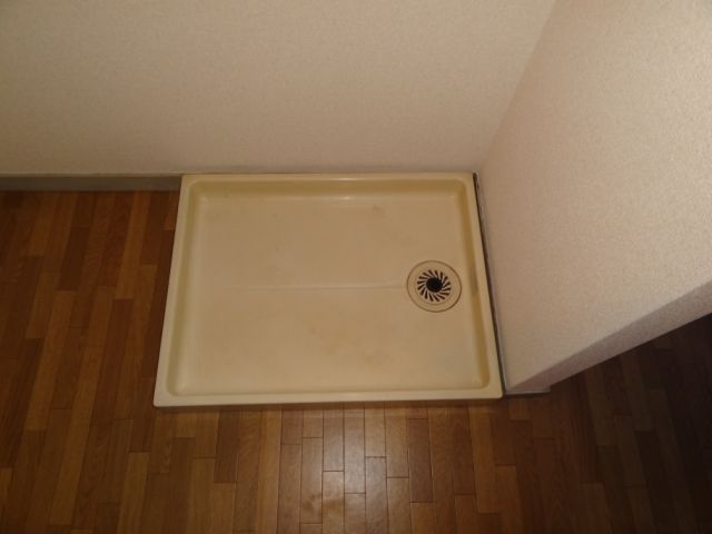 Other room space. Washing machine in the room