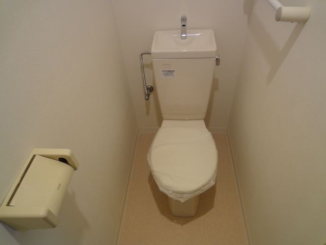 Toilet. It is a Western-style toilet. 