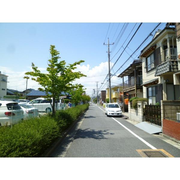 Local photos, including front road