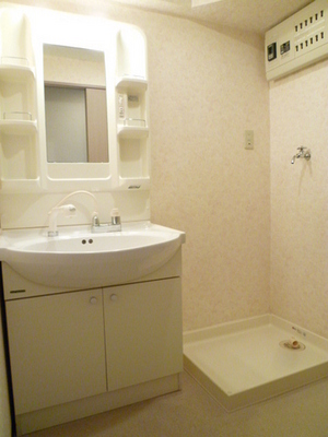 Other Equipment. Washing machine in the room