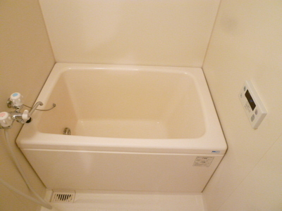 Bath. Spacious is bathtub