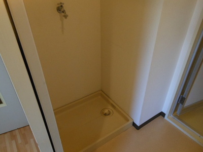 Washroom. Indoor Laundry Storage