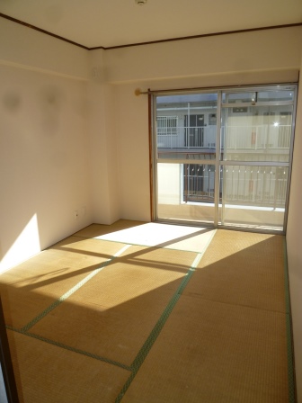 Living and room. And tatami mat sort