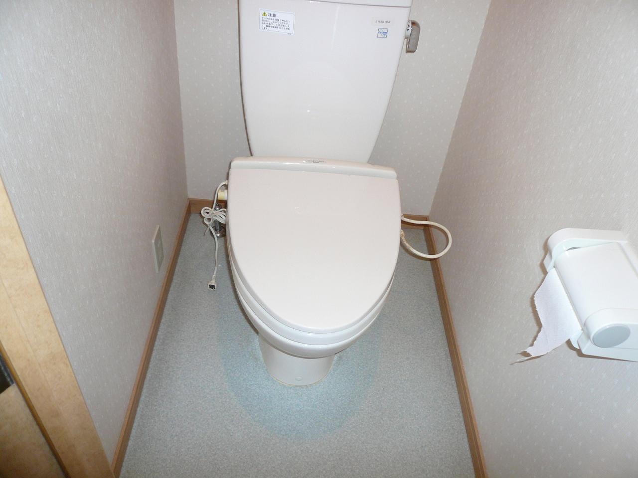 Toilet. Indoor reference photograph