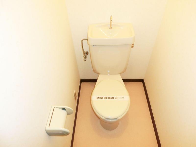 Toilet. Beautiful toilet.