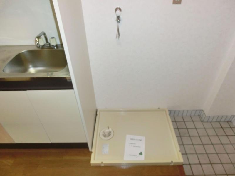 Other. It is indoor washing machine Storage.