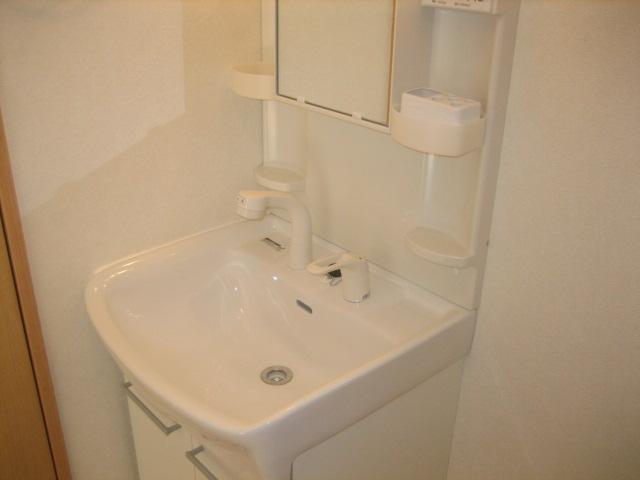 Washroom. Shampoo dresser