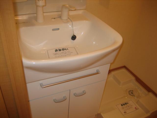 Washroom. Shampoo dresser (the same type)