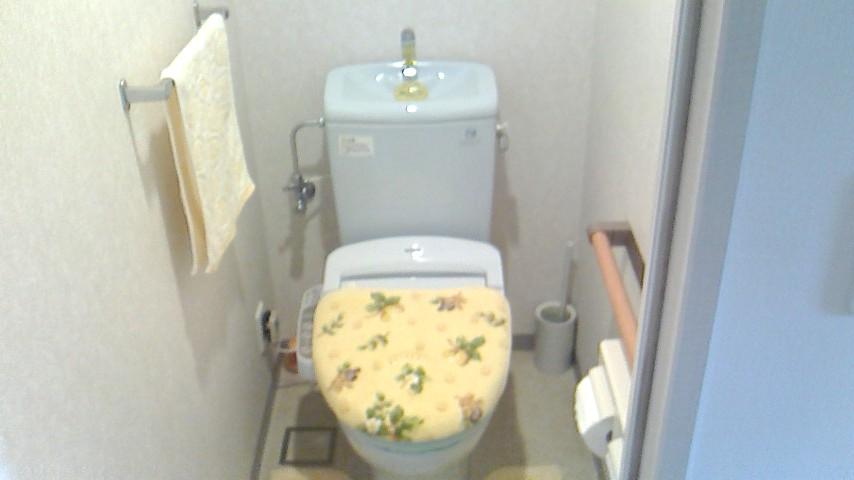 Toilet. Toilet is with a bidet. House cleaning is also certainly please visit the beautiful state that has been completed