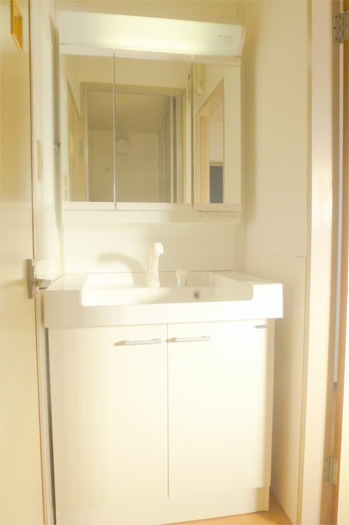 Washroom. Shampoo dresser