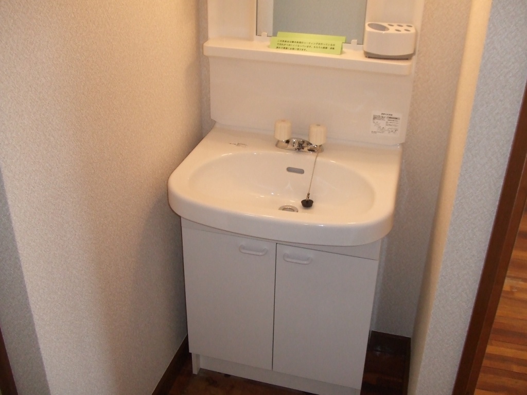 Washroom. Bathroom vanity