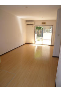 Living and room. Sunny