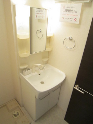 Washroom. Shampoo dresser