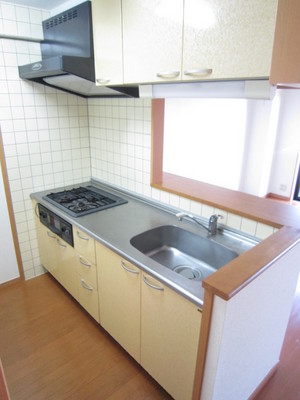 Kitchen. Face-to-face kitchen with grill