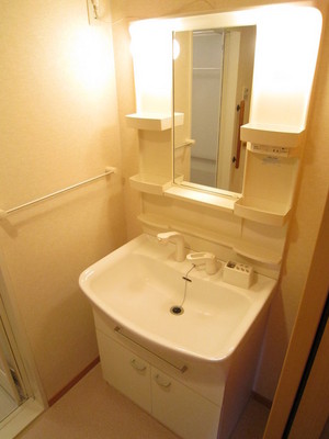 Washroom. Wash basin with shampoo dresser