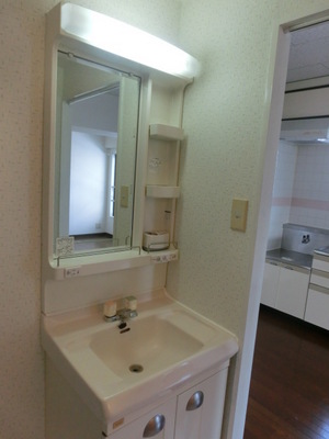 Washroom. Independent wash basin