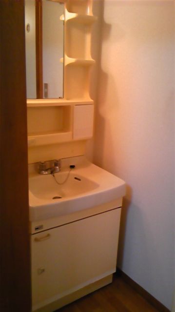 Washroom. This basin