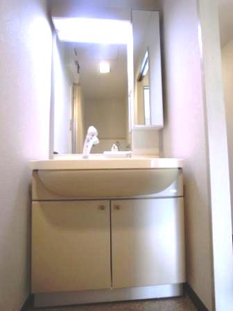 Washroom. Vanity with shower