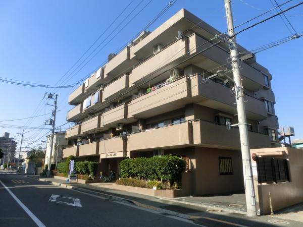 Local appearance photo. Appearance (December 2013 shooting)