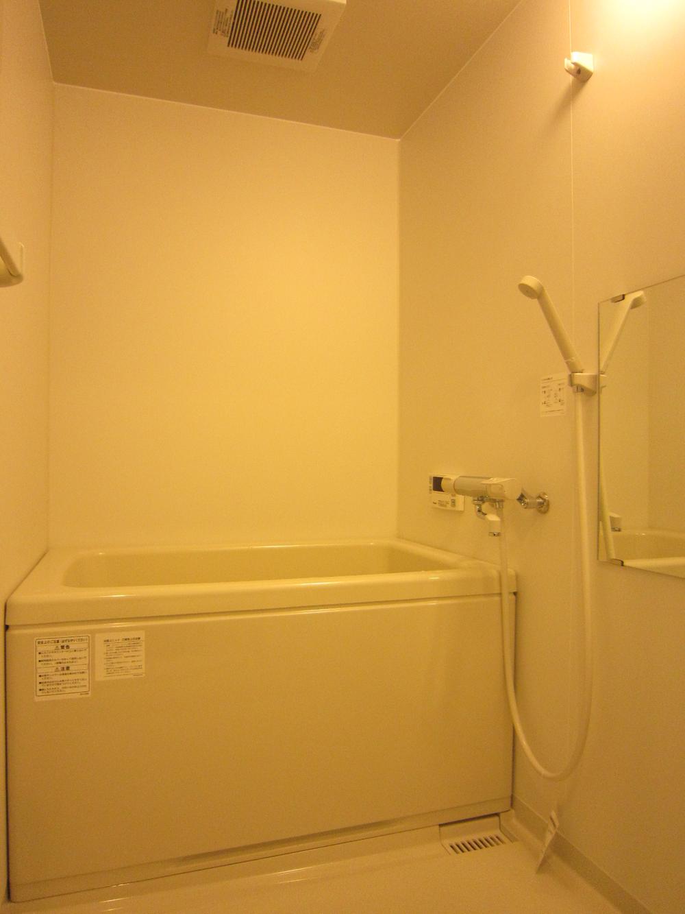 Bathroom. Indoor (11 May 2013) Shooting