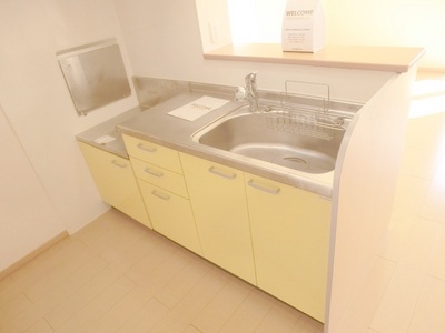 Kitchen. It has been stylish kitchen facilities