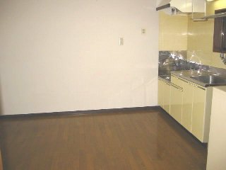 Kitchen. Kitchen space