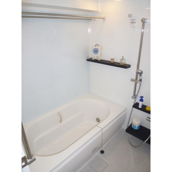 Bathroom. 16 × 18 spacious bathroom