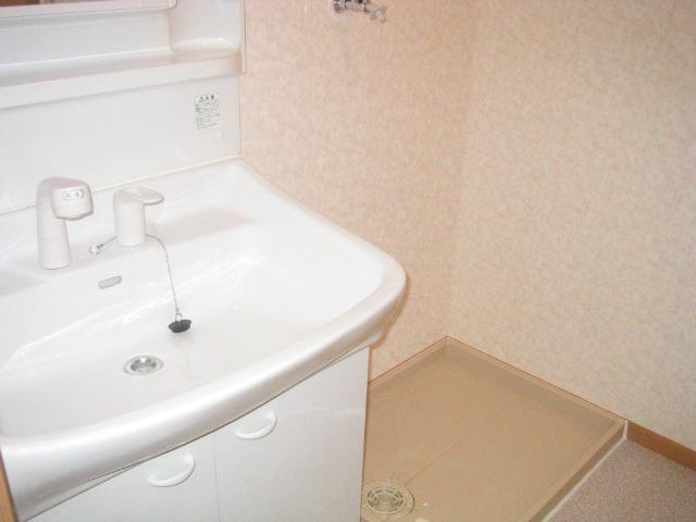 Washroom. Shampoo dresser